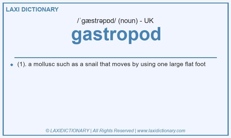 Definition gastropod in British English