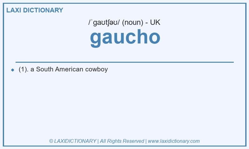 Definition gaucho in British English