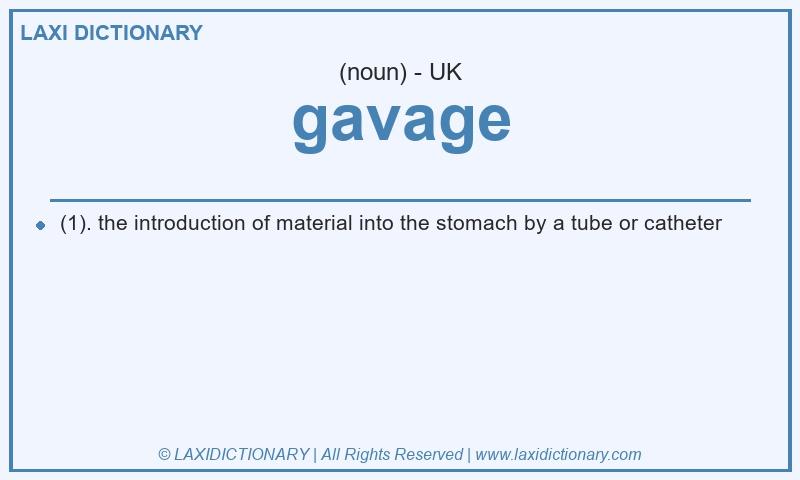 Definition gavage in British English