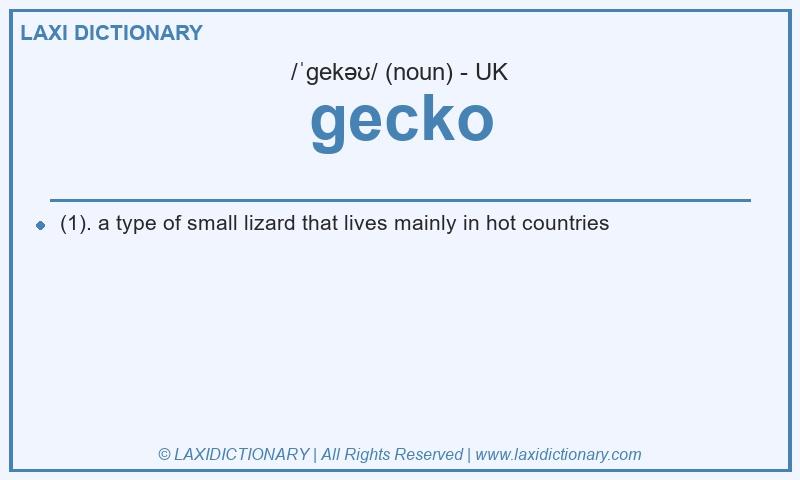 Definition gecko in British English