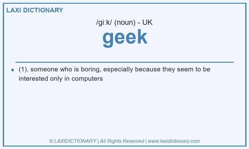 Definition geek in British English