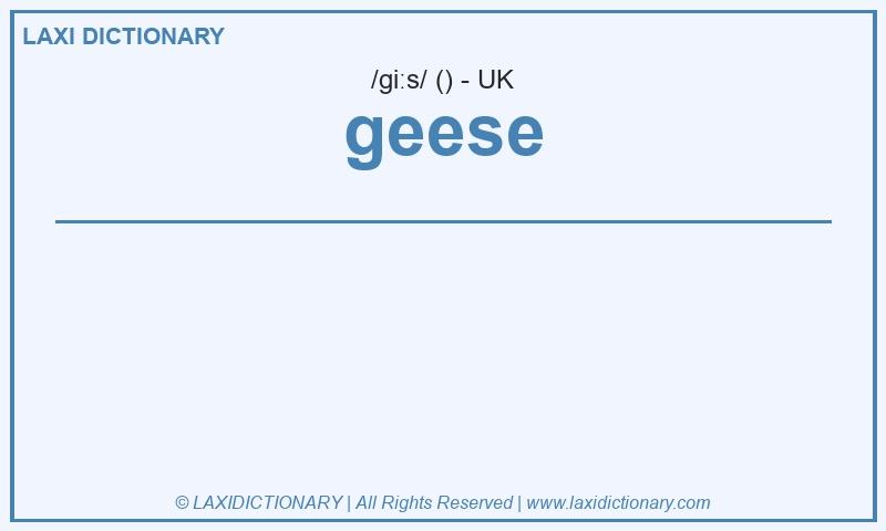 Definition geese in British English