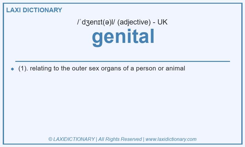 Definition genital in British English