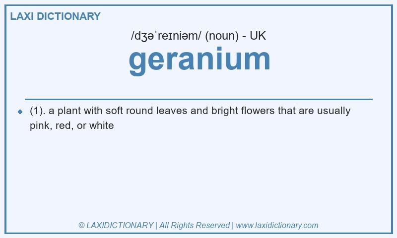 Definition geranium in British English