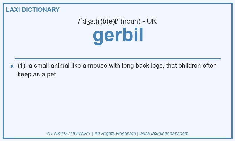 Definition gerbil in British English