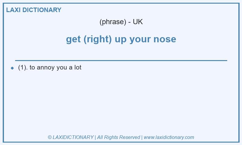 Definition get (right) up your nose in British English