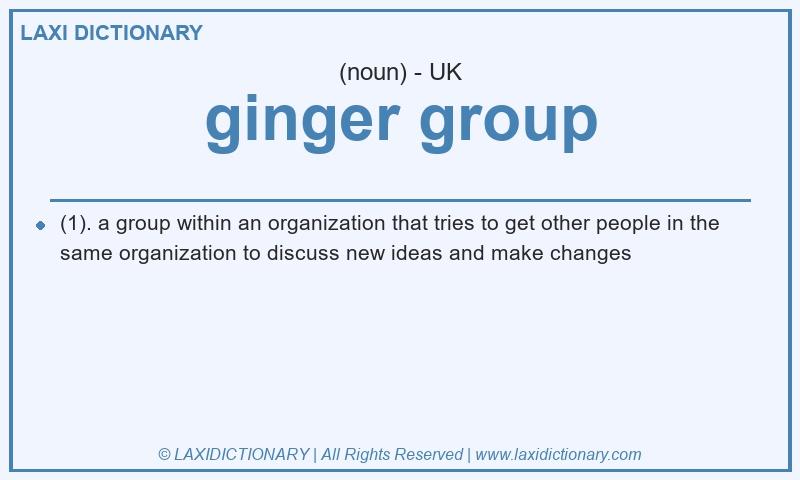 Definition ginger group in British English