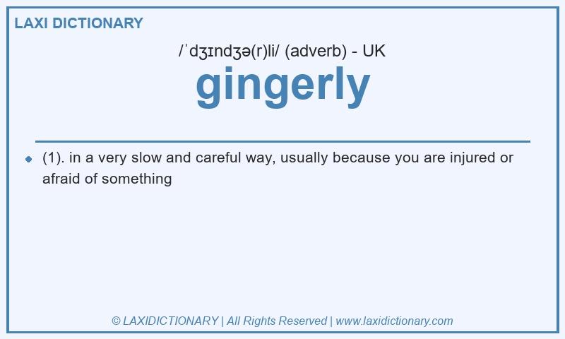 Definition gingerly in British English