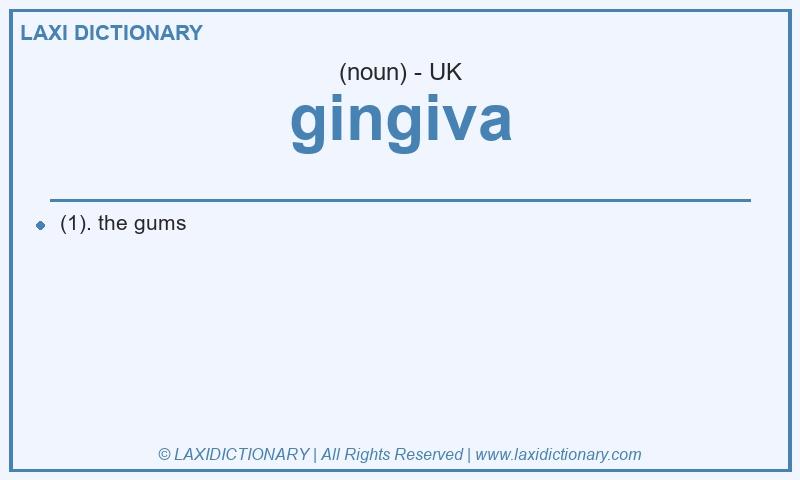 Definition gingiva in British English