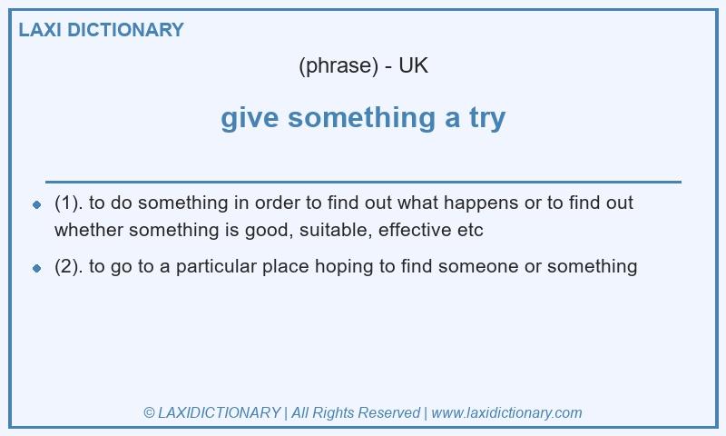 Definition give something a try in British English