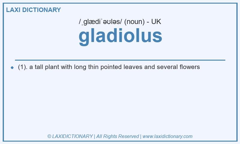Definition gladiolus in British English