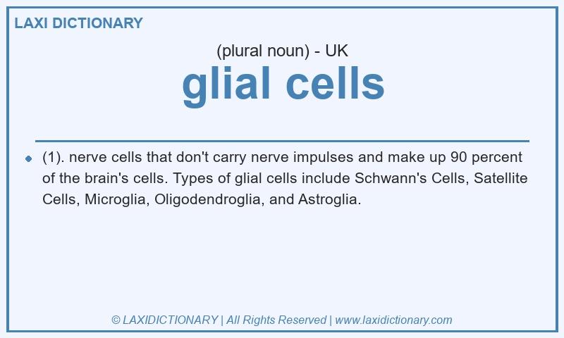 Definition glial cells in British English