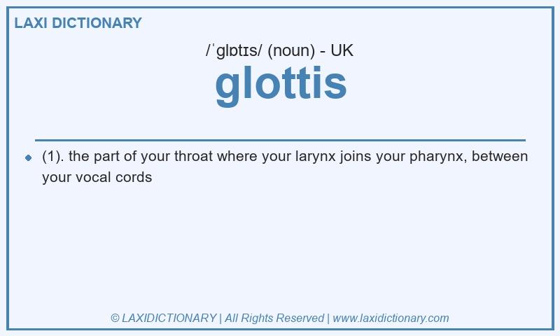 Definition glottis in British English