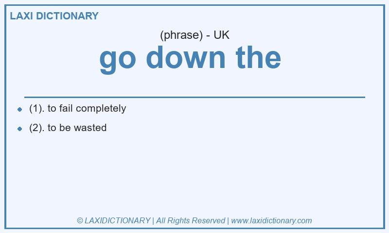 Definition go down the in British English