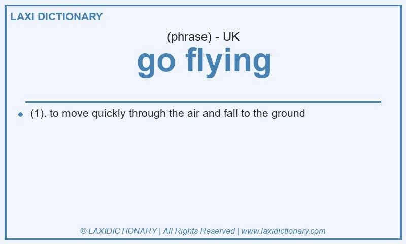 Definition go flying in British English