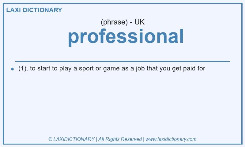 Definition  professional in British English