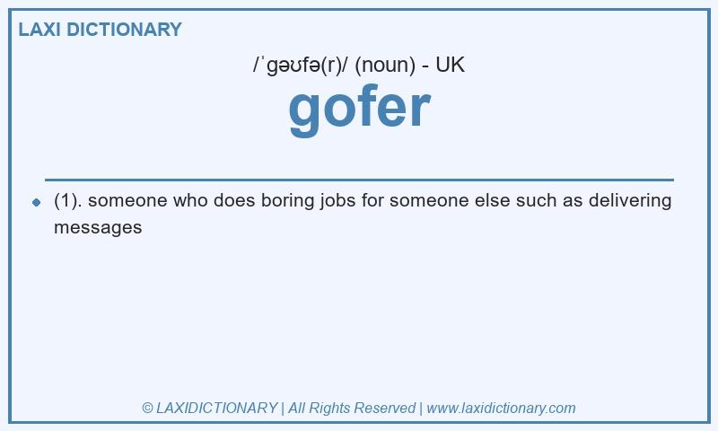 Definition gofer in British English