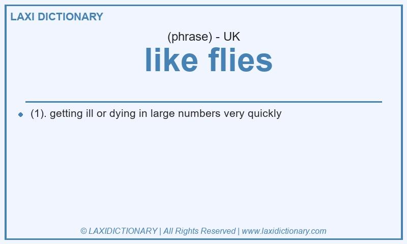 Definition  like flies in British English