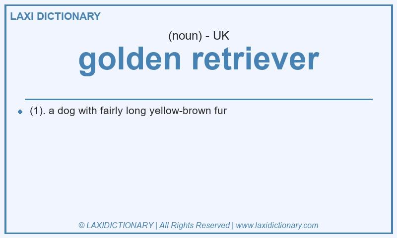Definition golden retriever in British English