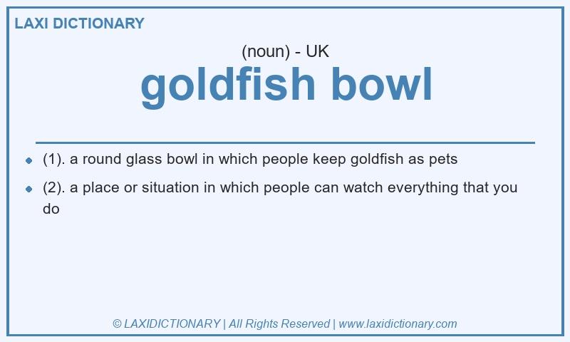 Definition goldfish bowl in British English