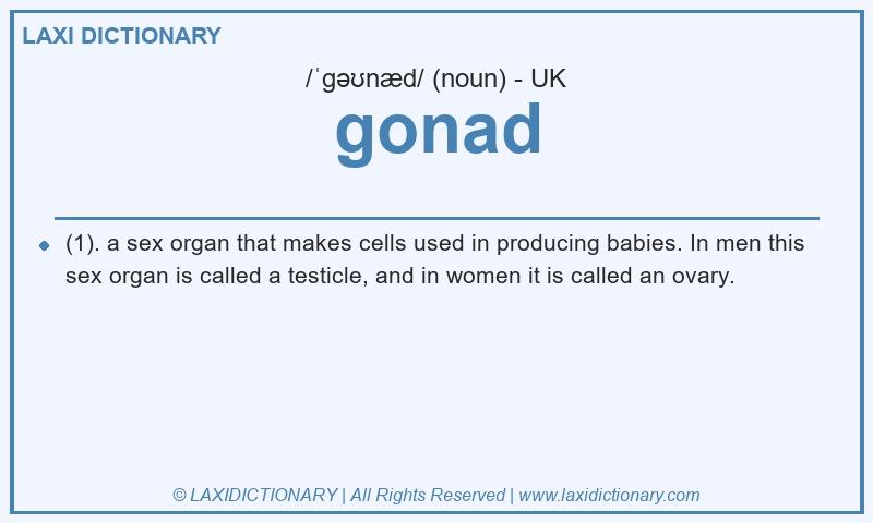 Definition gonad in British English