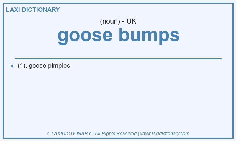 Definition goose bumps in British English