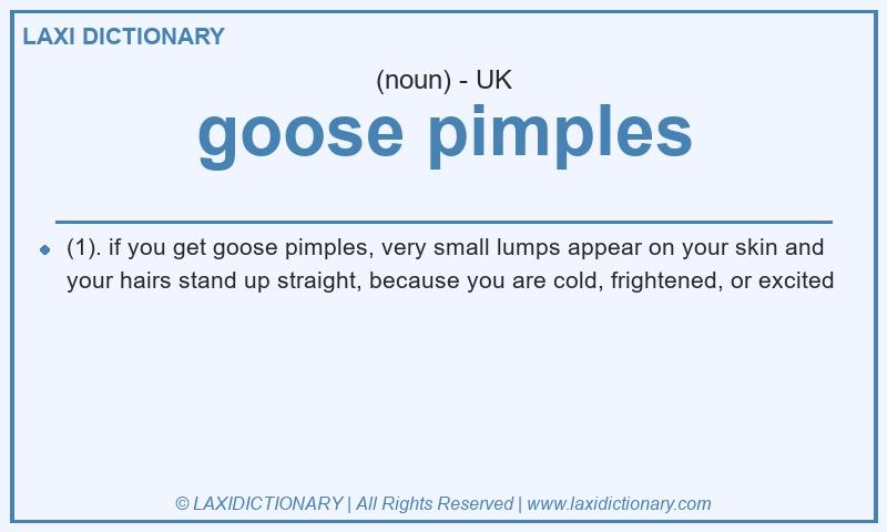 Definition goose pimples in British English