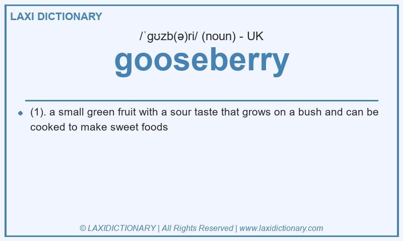 Definition gooseberry in British English