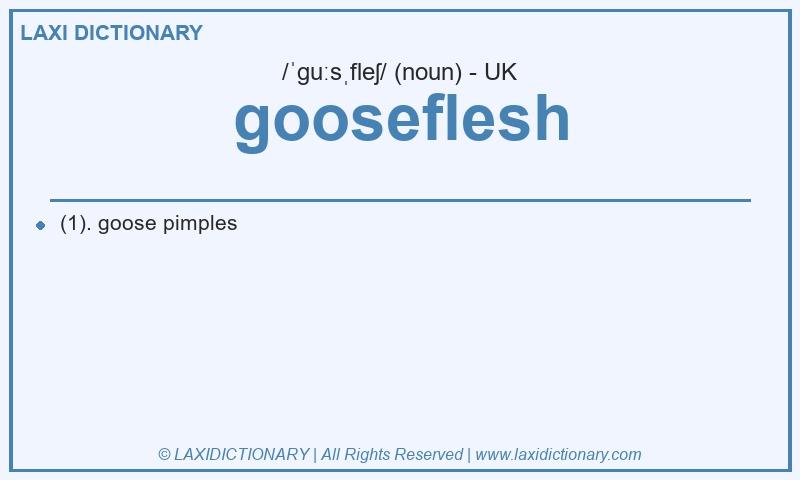 Definition gooseflesh in British English