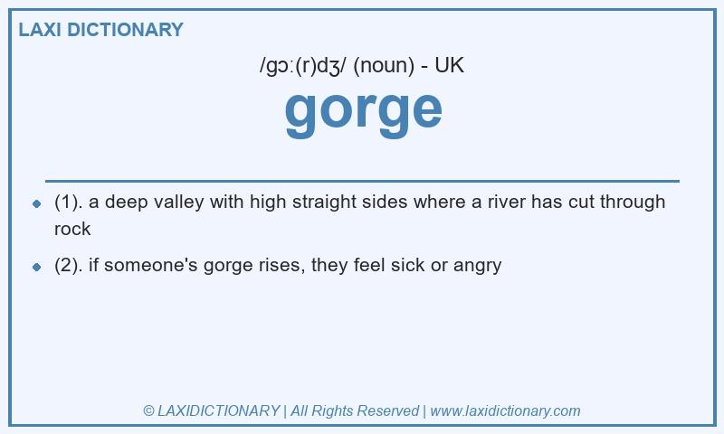 Definition gorge in British English