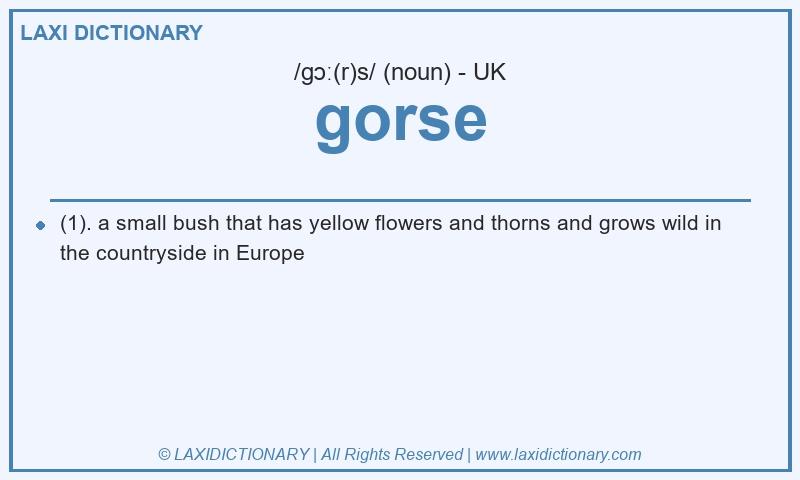 Definition gorse in British English