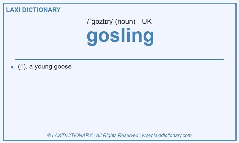 Definition gosling in British English