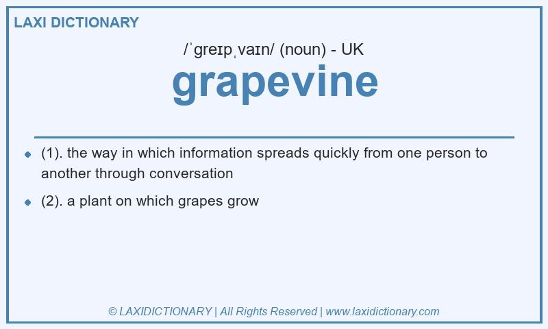 Definition grapevine in British English
