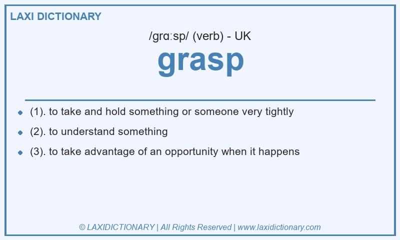 Definition grasp in British English