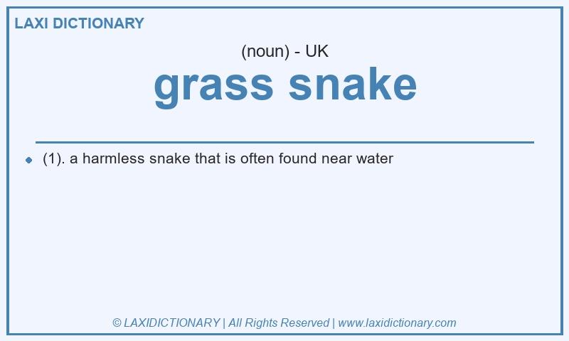 Definition grass snake in British English