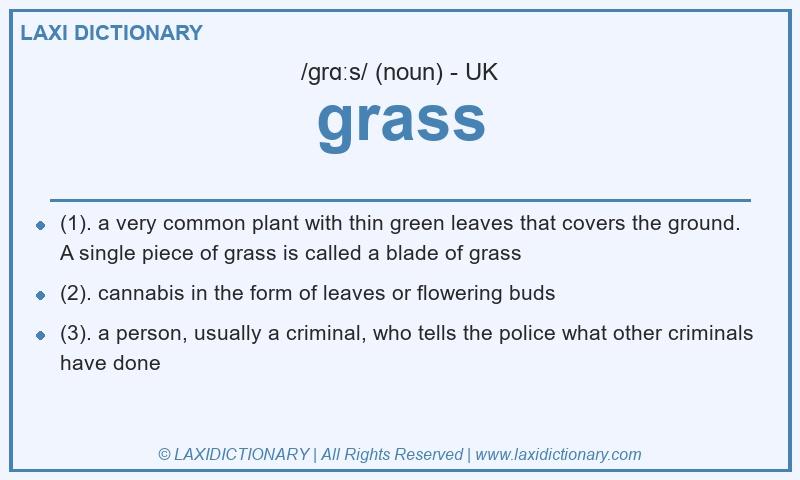 Definition grass in British English