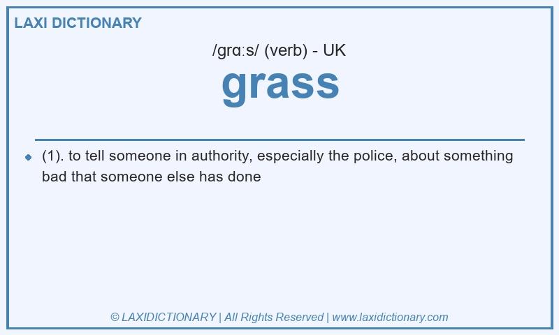 Definition grass in British English