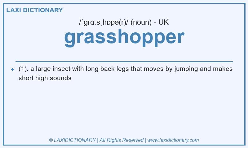 Definition grasshopper in British English