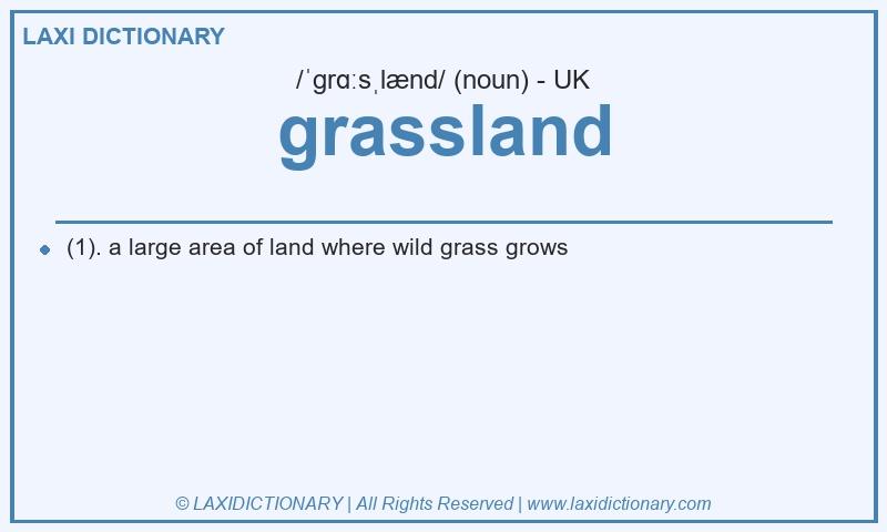 Definition grassland in British English