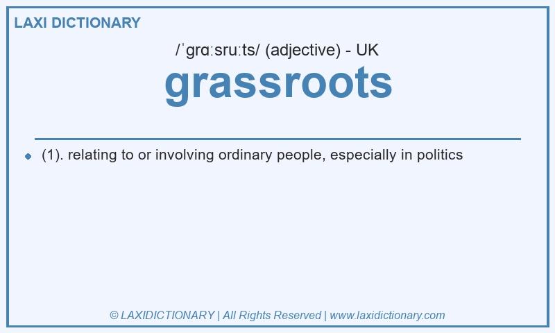 Definition grassroots in British English