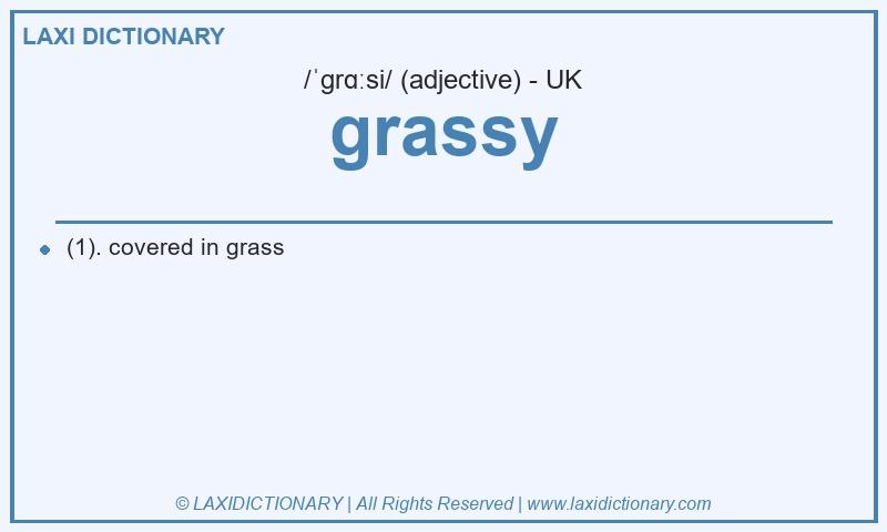 Definition grassy in British English