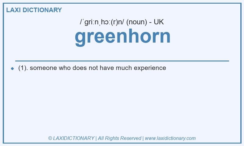 Definition greenhorn in British English