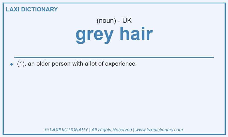 Definition grey hair in British English