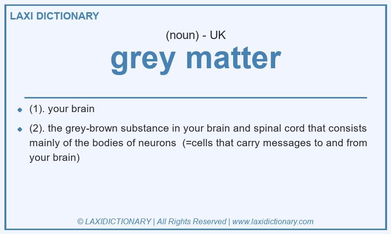 Definition grey matter in British English