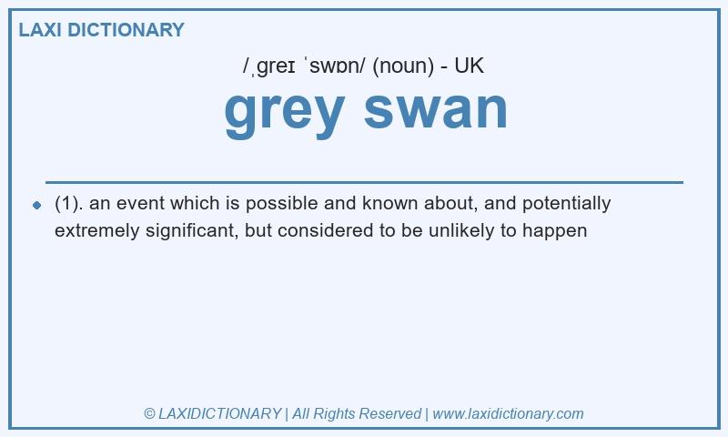 Definition grey swan in British English