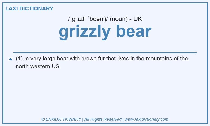 Definition grizzly bear in British English