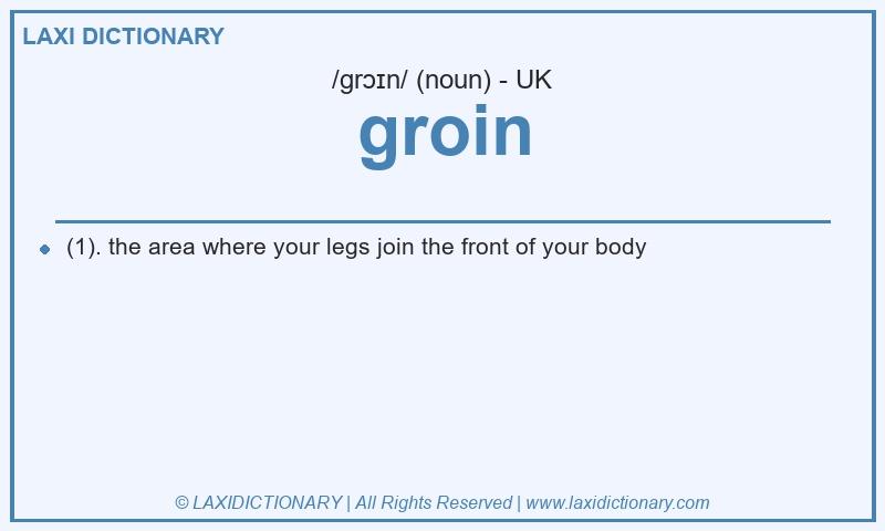 Definition groin in British English