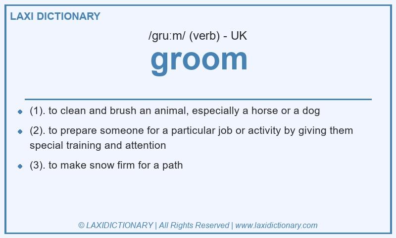 Definition groom in British English