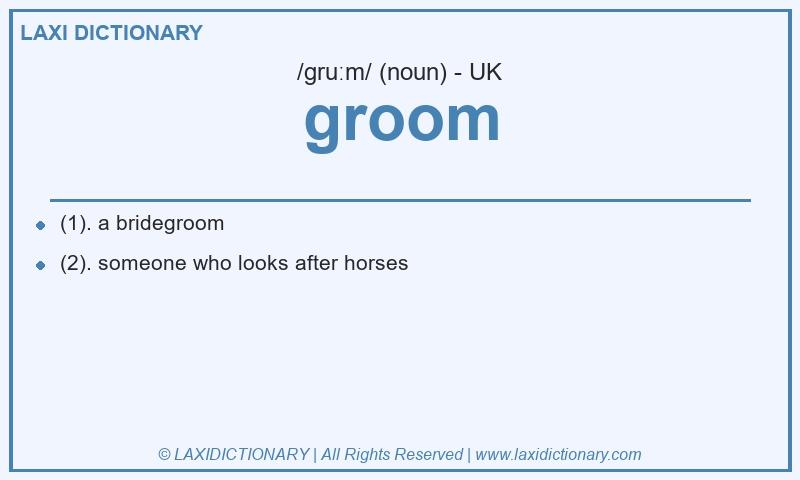 Definition groom in British English