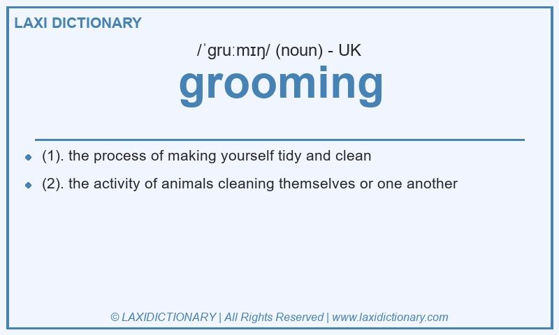 Definition grooming in British English